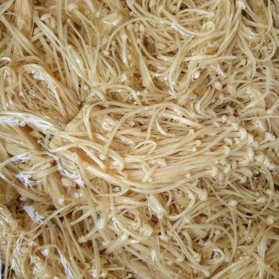 無硫金針菇干貨 優質食用菌的多領域應用與批發優勢