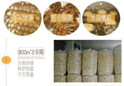 金針菇干貨 無(wú)硫新標(biāo)準(zhǔn)，酒店與工廠的優(yōu)選食材
