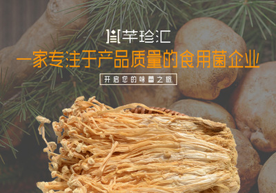 金針菇干貨 無(wú)硫綠色農(nóng)產(chǎn)品在酒店、工廠及畜牧漁業(yè)的多領(lǐng)域應(yīng)用