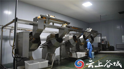 谷城石花鎮(zhèn) 以特色農(nóng)產(chǎn)品深加工為引擎，驅(qū)動(dòng)農(nóng)業(yè)產(chǎn)業(yè)鏈優(yōu)化升級(jí)