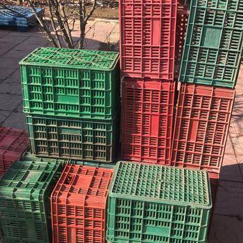 王恒峰 專(zhuān)注食用農(nóng)產(chǎn)品批發(fā)的誠(chéng)信供應(yīng)商