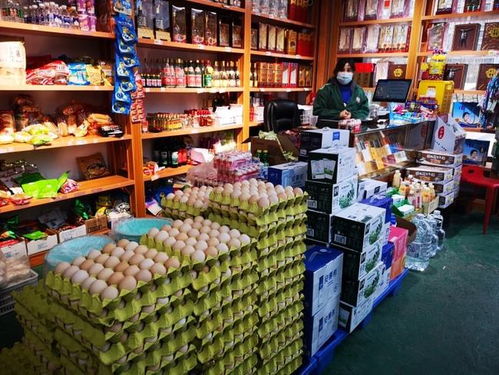 微聚焦 雁塔區(qū)啟動“三保”行動，全力守護市民“菜籃子”與畜牧漁業(yè)“糧袋子”